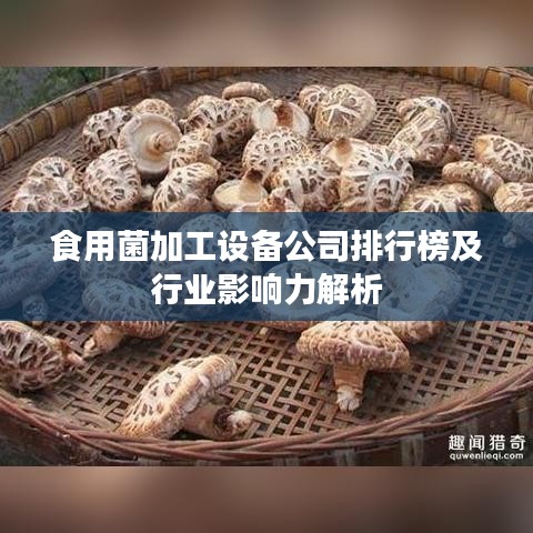 食用菌加工設備公司排行榜及行業影響力解析