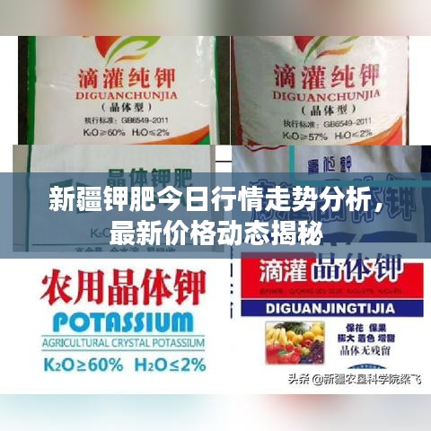 新疆鉀肥今日行情走勢分析,最新價格動態(tài)揭秘