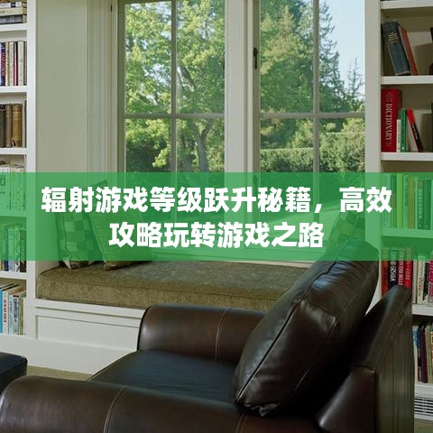 輻射游戲等級躍升秘籍,高效攻略玩轉(zhuǎn)游戲之路