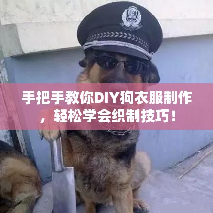 手把手教你DIY狗衣服制作,輕松學(xué)會(huì)織制技巧!