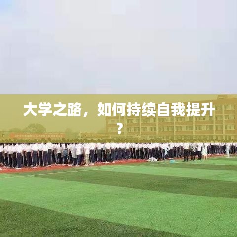 大學之路,如何持續自我提升?