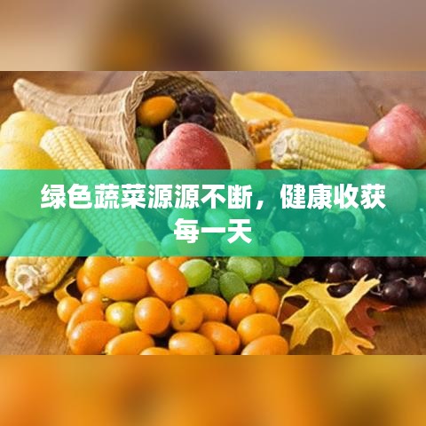綠色蔬菜源源不斷,健康收獲每一天