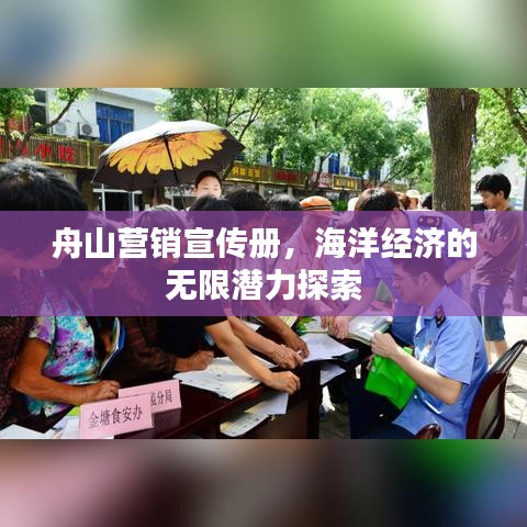 舟山營銷宣傳冊,海洋經濟的無限潛力探索