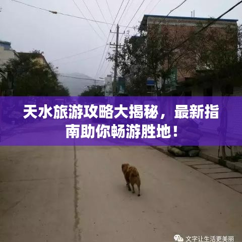 天水旅游攻略大揭秘,最新指南助你暢游勝地!