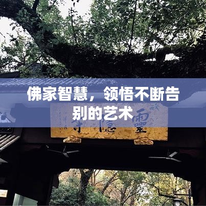 佛家智慧,領悟不斷告別的藝術