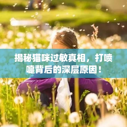 揭秘貓咪過敏真相,打噴嚏背后的深層原因!