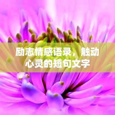 勵志情感語錄,觸動心靈的短句文字