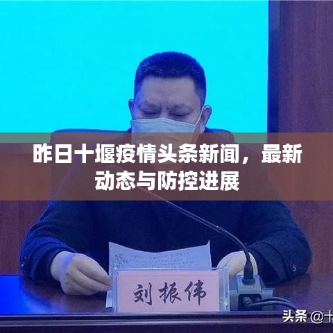 昨日十堰疫情頭條新聞,最新動態與防控進展