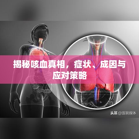 揭秘咳血真相,癥狀、成因與應對策略