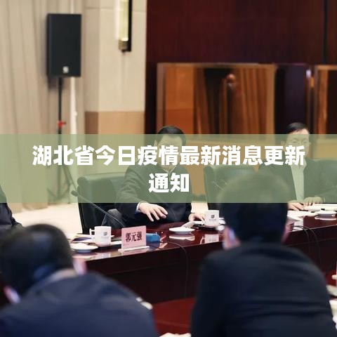 湖北省今日疫情最新消息更新通知