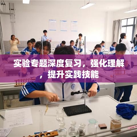 實驗專題深度復習,強化理解,提升實踐技能