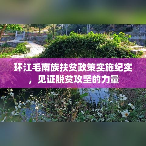 環江毛南族扶貧政策實施紀實,見證脫貧攻堅的力量