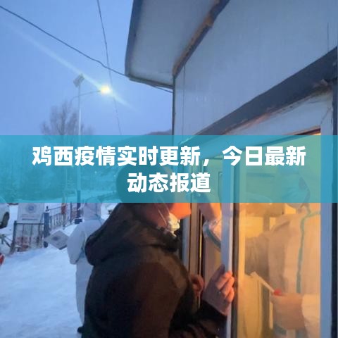 雞西疫情實時更新,今日最新動態報道