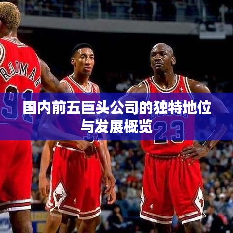 國內(nèi)前五巨頭公司的獨特地位與發(fā)展概覽