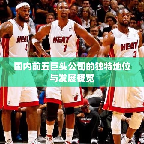 國內(nèi)前五巨頭公司的獨特地位與發(fā)展概覽