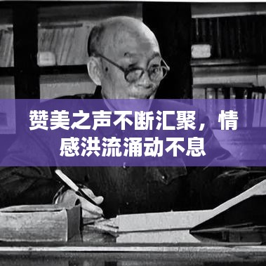 贊美之聲不斷匯聚,情感洪流涌動不息