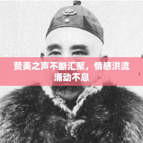 贊美之聲不斷匯聚,情感洪流涌動不息