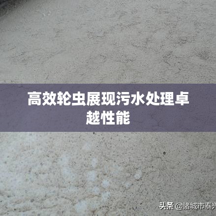 高效輪蟲展現(xiàn)污水處理卓越性能