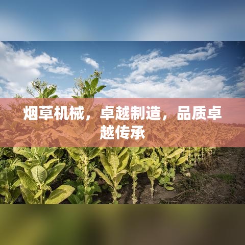 煙草機械,卓越制造,品質卓越傳承