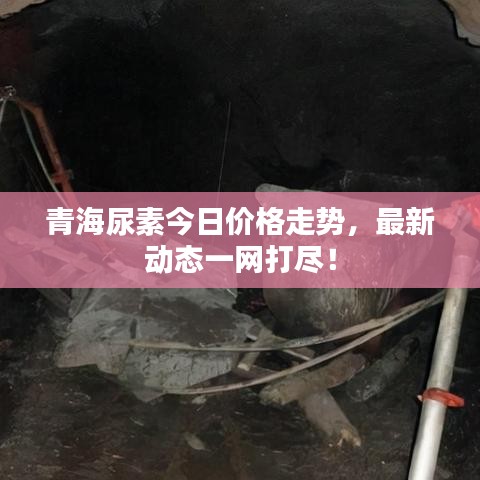 青海尿素今日價(jià)格走勢(shì),最新動(dòng)態(tài)一網(wǎng)打盡!