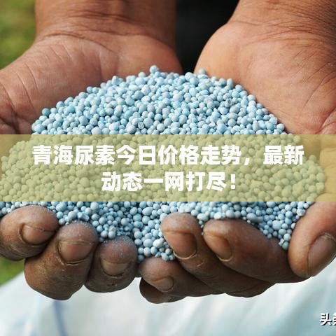 青海尿素今日價格走勢,最新動態一網打盡!