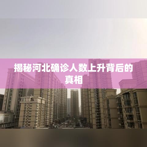 揭秘河北確診人數上升背后的真相