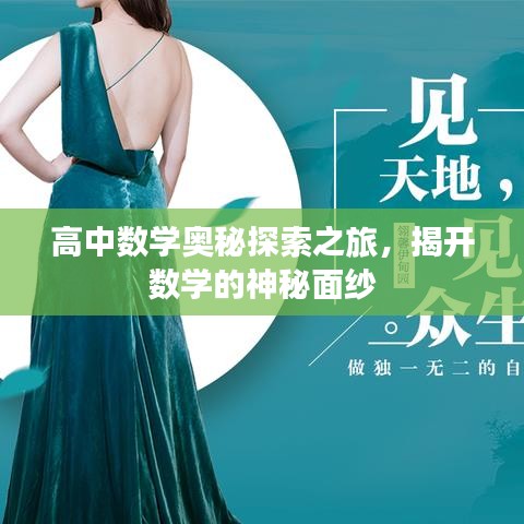 高中數(shù)學(xué)奧秘探索之旅,揭開數(shù)學(xué)的神秘面紗