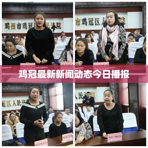 雞冠最新新聞動態(tài)今日播報