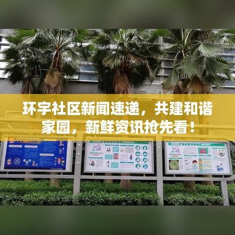 環宇社區新聞速遞，共建和諧家園，新鮮資訊搶先看！