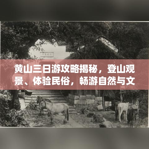 黃山三日游攻略揭秘，登山觀景、體驗(yàn)民俗，暢游自然與文化的盛宴！