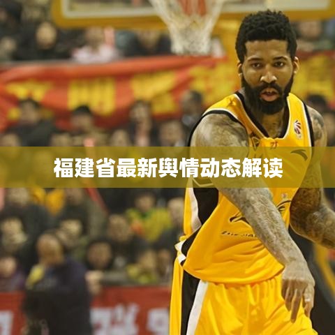 福建省最新輿情動態解讀
