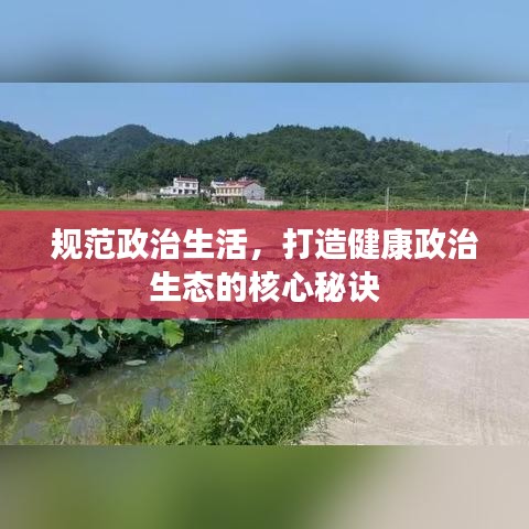 規(guī)范政治生活,打造健康政治生態(tài)的核心秘訣