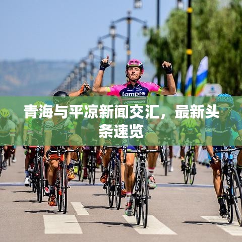 青海與平涼新聞交匯,最新頭條速覽