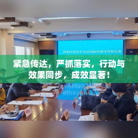 緊急傳達,嚴抓落實,行動與效果同步,成效顯著!
