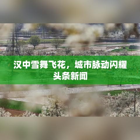 漢中雪舞飛花，城市脈動閃耀頭條新聞