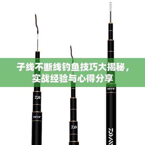 子線不斷線釣魚技巧大揭秘,實戰經驗與心得分享
