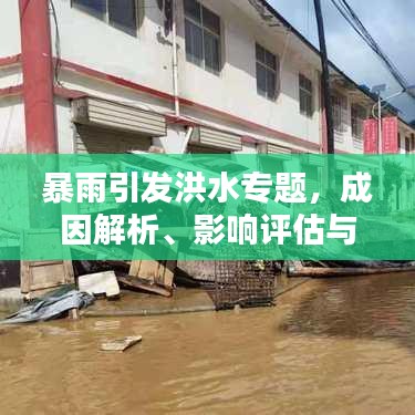 暴雨引發洪水專題,成因解析、影響評估與應對策略