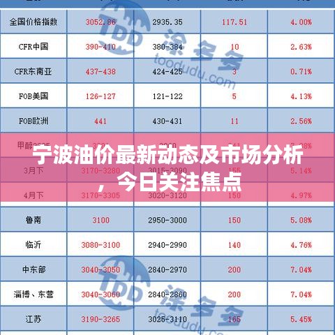 寧波油價(jià)最新動(dòng)態(tài)及市場(chǎng)分析,今日關(guān)注焦點(diǎn)