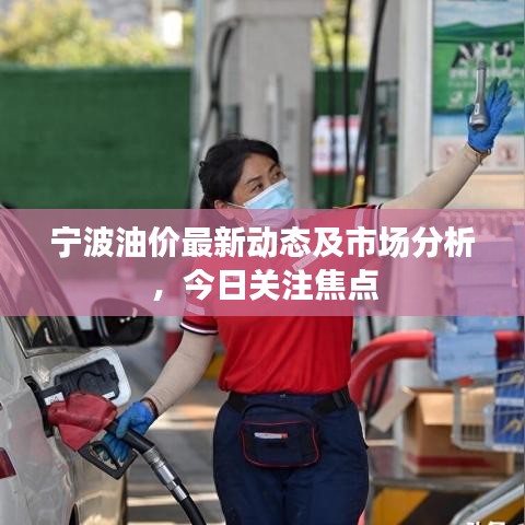 寧波油價(jià)最新動(dòng)態(tài)及市場(chǎng)分析,今日關(guān)注焦點(diǎn)