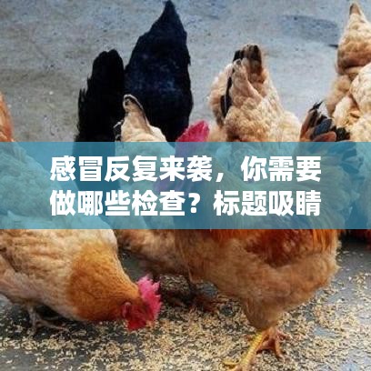 感冒反復來襲,你需要做哪些檢查?標題吸睛,百度收錄標準