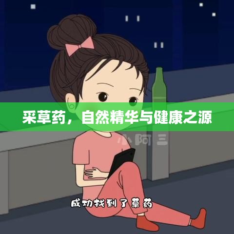 采草藥，自然精華與健康之源