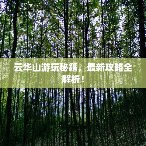 云華山游玩秘籍,最新攻略全解析!
