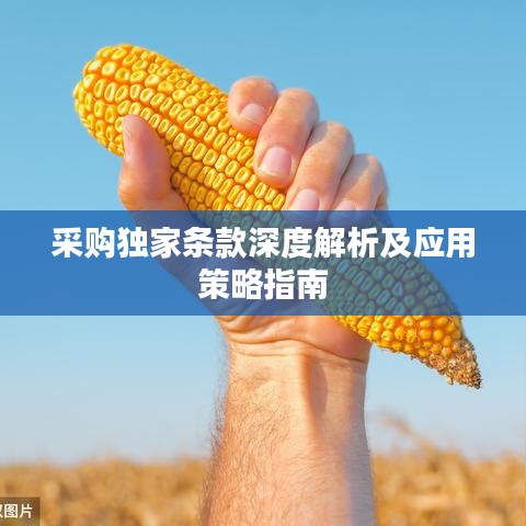 采購獨家條款深度解析及應用策略指南