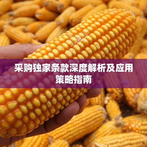 采購獨家條款深度解析及應用策略指南