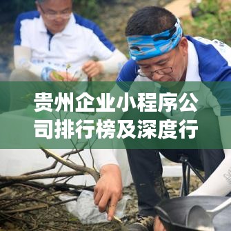 貴州企業(yè)小程序公司排行榜及深度行業(yè)洞察揭秘!