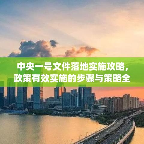 中央一號文件落地實施攻略，政策有效實施的步驟與策略全解析