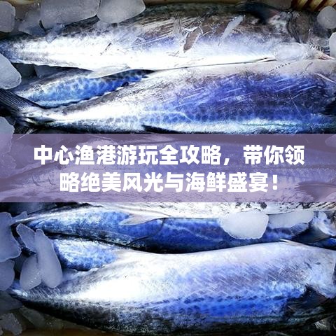 中心漁港游玩全攻略，帶你領略絕美風光與海鮮盛宴！