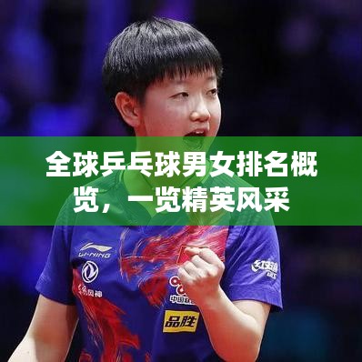 全球乒乓球男女排名概覽,一覽精英風采