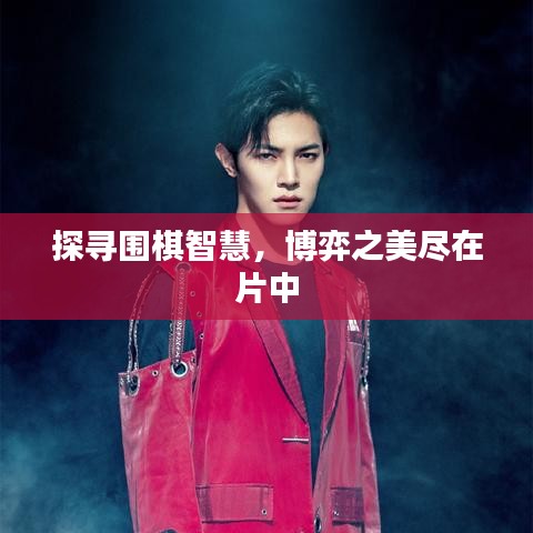 探尋圍棋智慧,博弈之美盡在片中