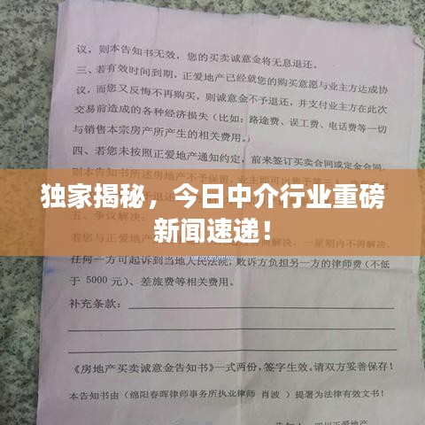 獨家揭秘,今日中介行業重磅新聞速遞!